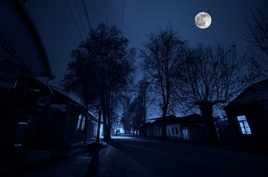 forest of the unyielding